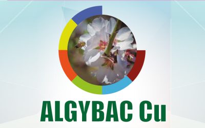 Algybac Cu