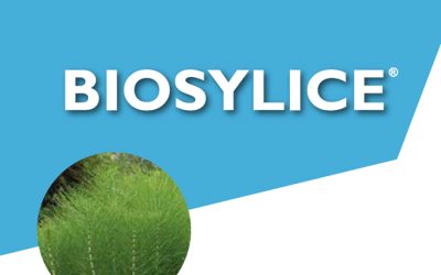 Biosylice