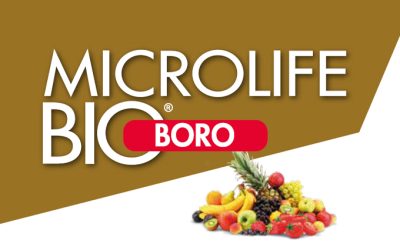 Microlife Bio Boro