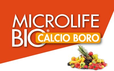 Microlife Bio Calcio Boro
