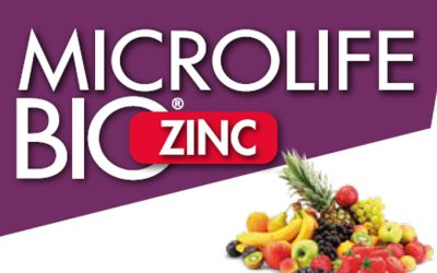 Microlife Bio Zinc