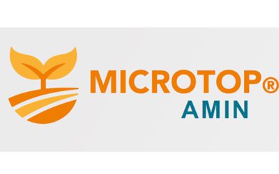 Microtop Amin
