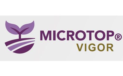 Microtop Vigor